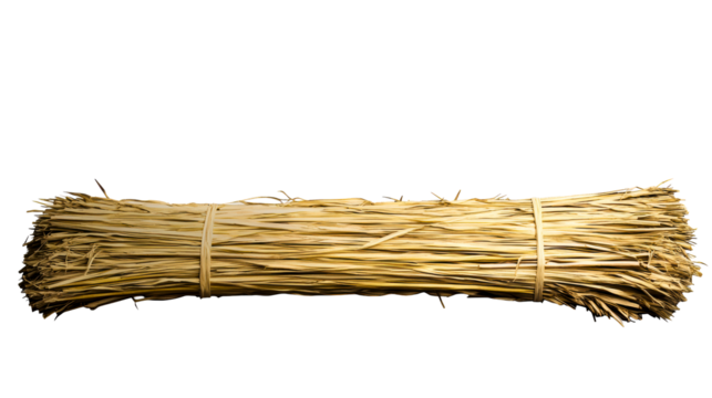 Bundled dry palm leaves tied with rope on a white background