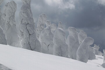 樹氷に覆われた岩