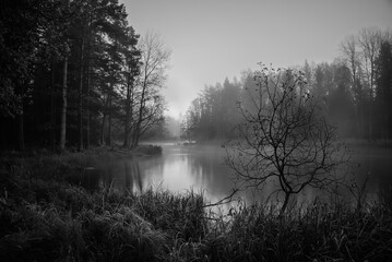 Swedish river and natural salmon area in autumn. Farnebnofjarden national park in north o Sweden.
