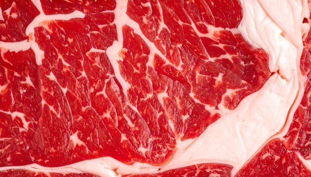Close-up view of raw steak
