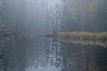 Swedish river and natural salmon area in autumn. Farnebnofjarden national park in north o Sweden.
