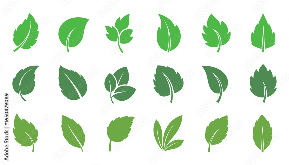 Poster set of various green leaves in different shapes and styles. botanical vector illustration design ele