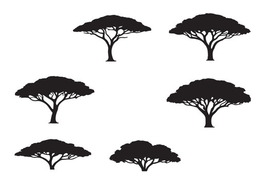 Forest trees set. Isolated vector silhouette. Coniferous forest. Christmas tree, fir-tree, pine, pine-tree, Scotch fir, cedar