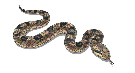 Obraz premium camouflaged snake transparent background vector illustration