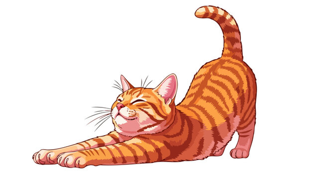 adorable orange tabby cat stretching transparent background vector illustration