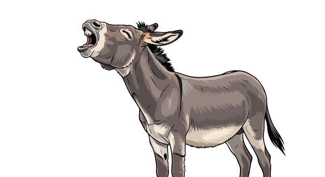 hilarious donkey braying transparent vector illustration for design projects