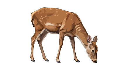 grazing deer transparent background vector illustration for design projects