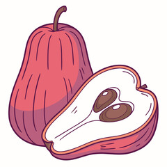 malay rose apple vector