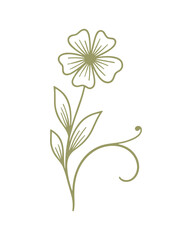 Elegant olive green floral line art design. Detailed flower with leaves and stem. Vector illustration.