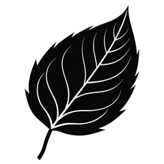 Minimalist single rose leaf silhouette with clean lines on a white background