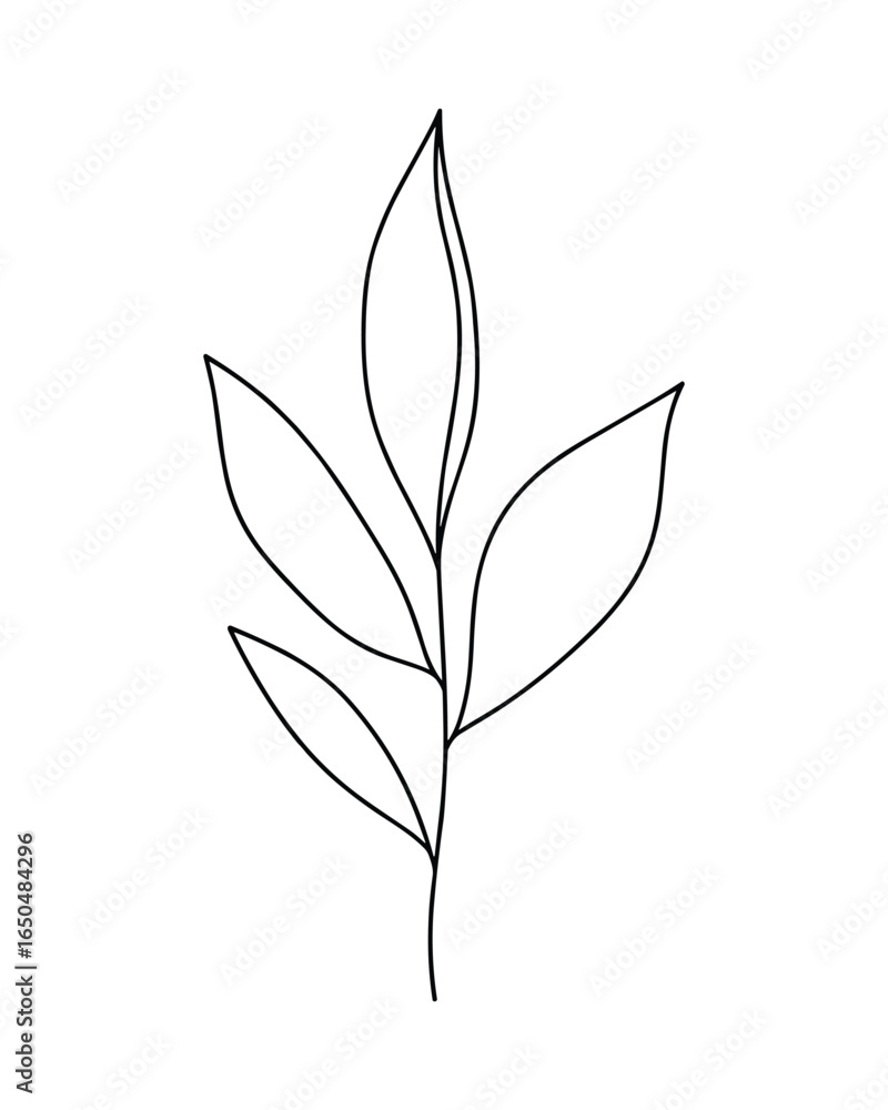 Poster minimalist botanical line art. a simple branch with leaves. black outline on a white background. vec