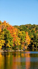 Obraz premium Vibrant autumn foliage reflected in a calm lake under a clear blue sky