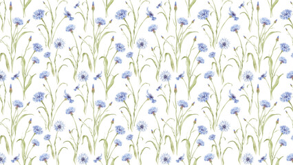A seamless pattern of watercolor cornflowers art