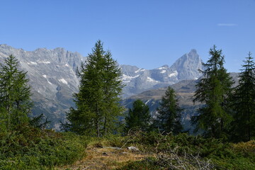 Il Cervino,visto dal piccolo paesino di Cheneil