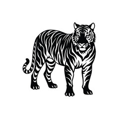 Naklejka premium A striped wild tiger predator with a head full of white fur and black stripes looks like a cartoon illustration