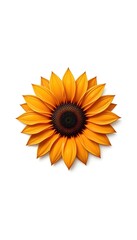 Naklejka premium sunflower isolated on whiteRadiant sunflower blossom isolated against a crisp white backdrop, perfect for adding warmth and sunshine to any project with its vibrant petals