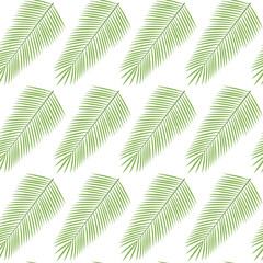 Seamless pattern on transparent background - fresh coconut palm leaves.