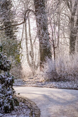 A serene winter landscape in a frost-covered forest park, captured in soft morning light. The...