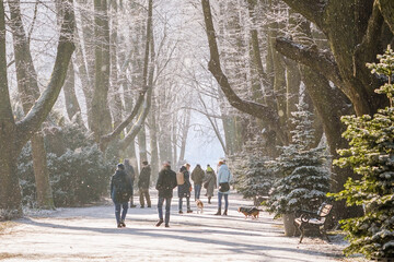 People walking though a park on a foggy and cold winter morning, North Rhine-Westphalia, Germany