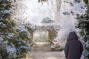 Person with a winter coat walking though a park with a natural canopy in front with light frozen...