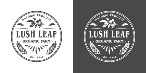 Olive farm logo template isolated on black and white background. Olive oil design elements. Vector illustration