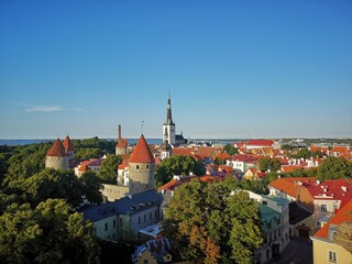 Fototapeta premium Sunny panoramic view of Tallinn Old Town with medieval towers and red rooftops, Estonia
