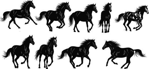 Beautiful black horse silhouettes running and standing, wild stallion in motion