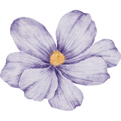 Obraz premium A pale purple watercolor flower with a yellow center.