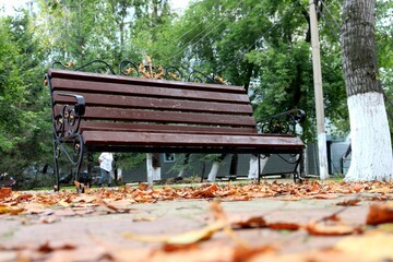 bench in autumn park