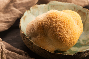 Hericium erinaceus mushroom monkey head mushroom, bearded tooth fungus, bearded hedgehog mushroom, pom pom, lion`s mane mushroom. Far Eastern medicine use this mushroom © joanna wnuk