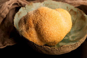 Hericium erinaceus mushroom monkey head mushroom, bearded tooth fungus, bearded hedgehog mushroom,...
