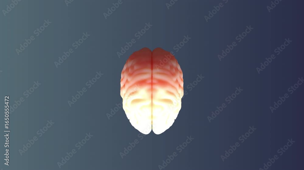 Poster illuminated human brain rotates slowly on a dark gradient background, revealing neural activity and 