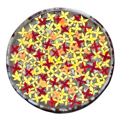 Relaxing floral arrangement with vibrant blossoms floating in water creates tranquil atmosphere