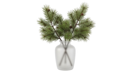 Pine Branches In White Vase Modern Home Decor