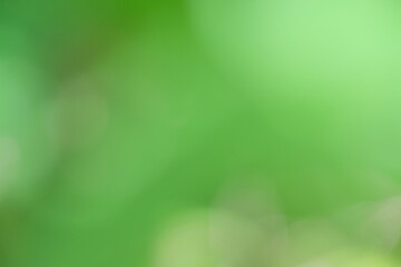 Soft green abstract background with blurred bokeh effect, creating a serene and calming atmosphere,...