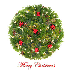 Merry Christmas winter holly berry, mistletoe, ivy, cedar fir leaf sprigs. Xmas circle decoration on white. Nature flora green wicca, pagan, druid logo design.