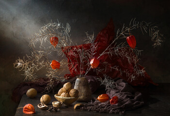 Contemporary still life with dry branches, physalis and walnuts on a dark background © 02irina