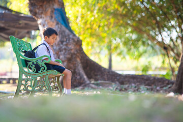 Little school boy read book on grass in city park sunset light