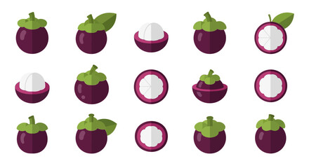 Collection of Colorful Mangosteen Fruit Whole and Sliced Illustrations