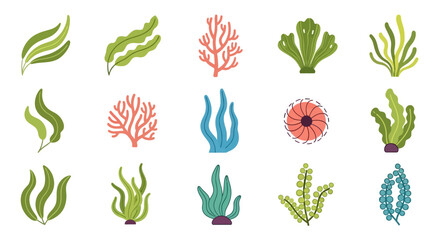 Collection of Diverse Seaweed and Coral Illustrations: Vibrant Green, Blue, and Coral-Colored Sea Plants with Unique Textures and Shapes