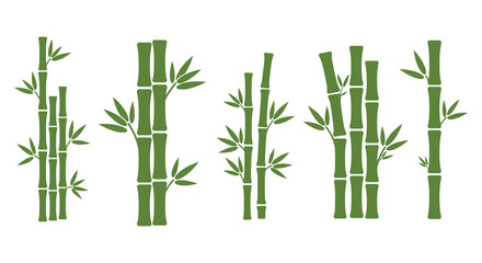Obraz premium Green Bamboo Stalks with Leaves Vector Illustration for Asian Inspired Design