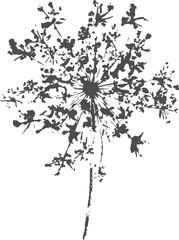 Naklejka premium Wild carrot Daucus Carota flower imprint, an umbelliferous plant, stamp, silhouette. PNG.