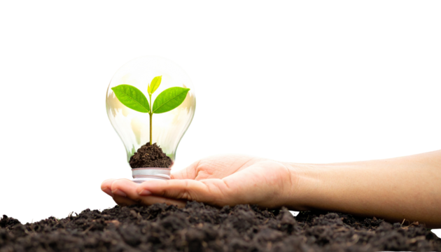 Illuminated light bulb with growing plant inside representing environmental innovation and green technology solutions isolated on solid white background Png format