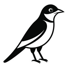 Solid color Loggerhead Shrike animal vector design