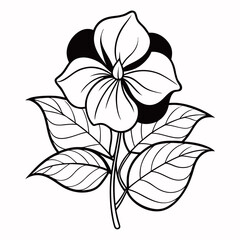 Obraz premium impatiens balsamina scarlet line art illustration vector -on-white