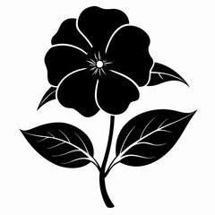  impatiens-new-guinea flower silhouette vector illustration  on-white