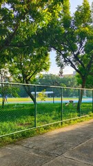 A View Beside the Sports Field with Trees