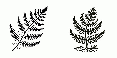 A Skeleton fern spotting. Retro Vintage Line Art Clipart Silhouette Vector Illustration. .
