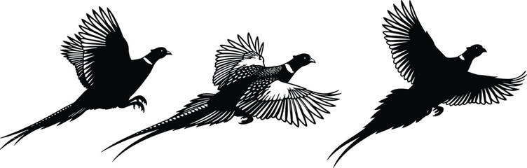 Art & IllustrationFlying pheasant bird silhouette illustration, detailed wildlife vector design for hunting, nature, rural artwork