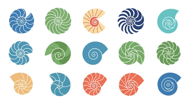 Vector set of colorful nautilus shell icons. Flat design spiral seashell logos with geometric patterns.